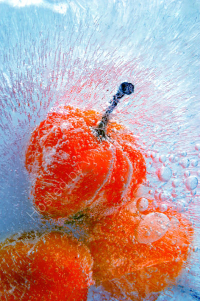 Chilly Freeze